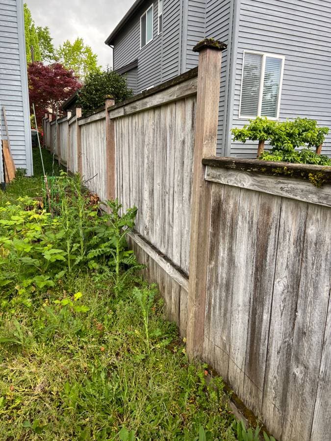 Weathered backyard wood fence before replacement and cleanup