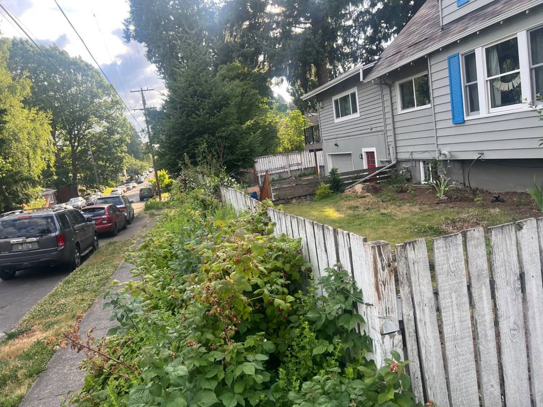 Residential fence line installation along side yard with landscaping