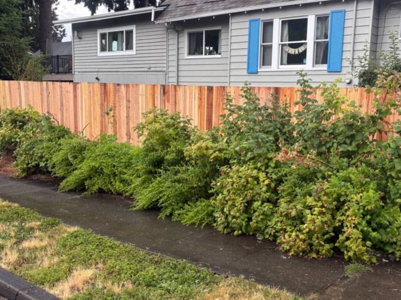 Finished backyard fence installation improving privacy and curb appeal